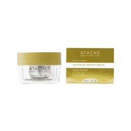 ATACHE EXCELLENCE ADVANCED...
